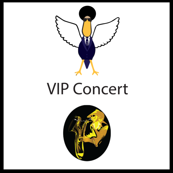 VIP Concert